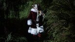 Doze Dias de Krampus