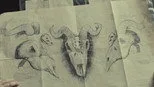 Máscaras