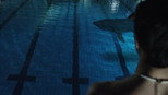 Tubarão na Piscina