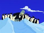 O desastre ecológico dos pinguins