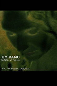 Poster de Um Ramo