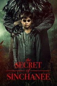 Assistir The Secret of Sinchanee online grátis