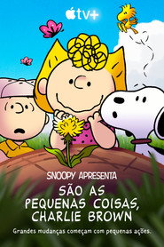 Poster de Snoopy Apresenta: São as Pequenas Coisas, Charlie Brown