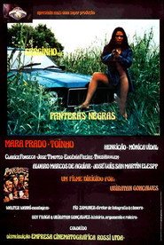 Poster de As Panteras Negras do Sexo