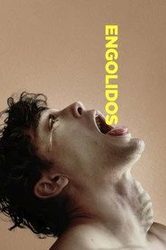 Assistir Engolidos online grátis