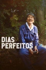 Assistir Dias Perfeitos online grátis