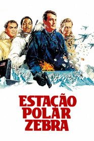 Poster de Estação Polar Zebra