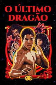 Poster de O Último Dragão