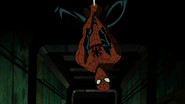 E Surgiu uma Aranha