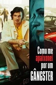 Assistir Como Me Apaixonei por um Gângster online grátis