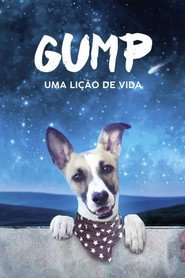 Assistir Gump: Uma Lição de Vida online grátis