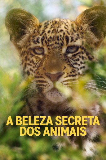 Capa da série A Beleza Secreta dos Animais, temporada 1, episódio 2