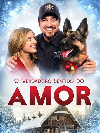 Assistir O Verdadeiro Sentido do Amor (2014) online grátis em HD