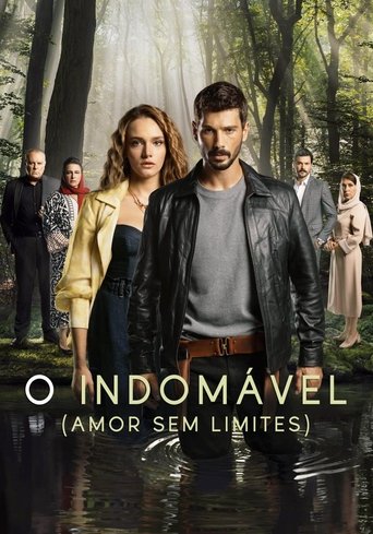 Capa da série Amor Sem Limites, temporada 1, episódio 11